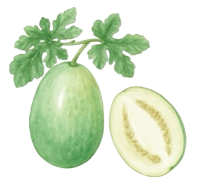 Alt Image