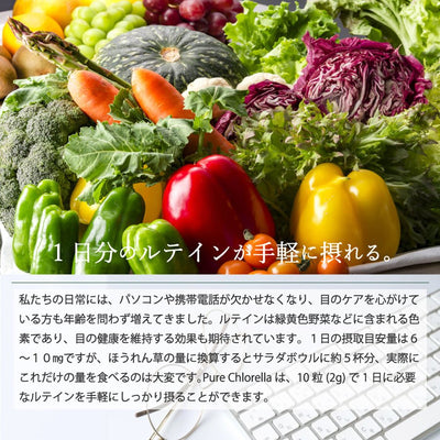八重山クロレラ 100％－無添加ピュアクロレラ - 株式会社ロゴスコーポレーション
