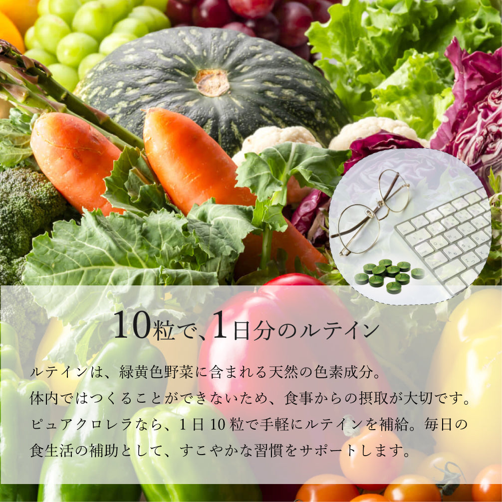 【 ピュアクロレラ 】 八重山クロレラ 900粒｜石垣島産・添加物不使用