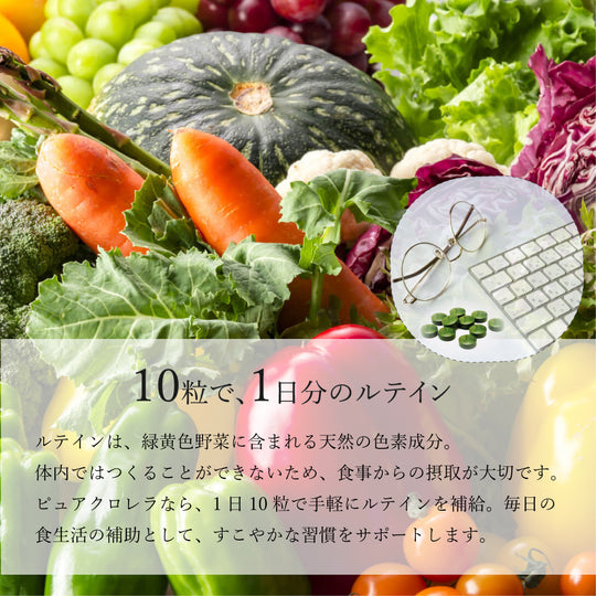 【 ピュアクロレラ 】 八重山クロレラ 900粒｜石垣島産・添加物不使用