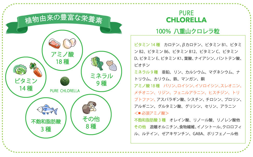 八重山クロレラ粒 620粒(124g)2袋セット （八重山クロレラ粉 620