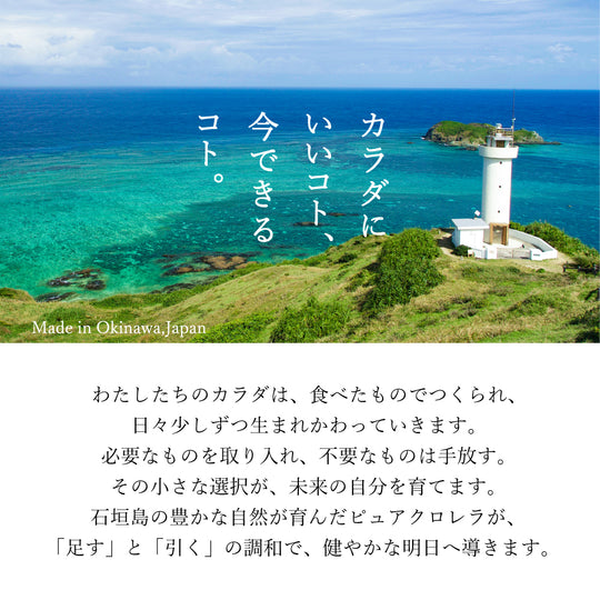 八重山クロレラ 300粒｜石垣島産・添加物不使用｜ピュアクロレラ