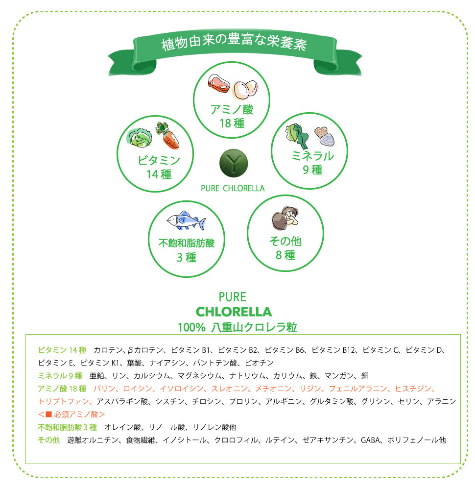 八重山クロレラ 300粒 ／ 添加物不使用 ピュアクロレラ　