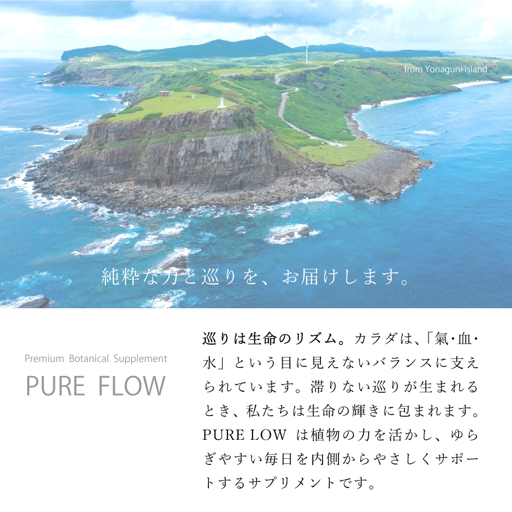 ピュアフロー PUREFLOW 巡り ゆるぎ 代官山クリニック