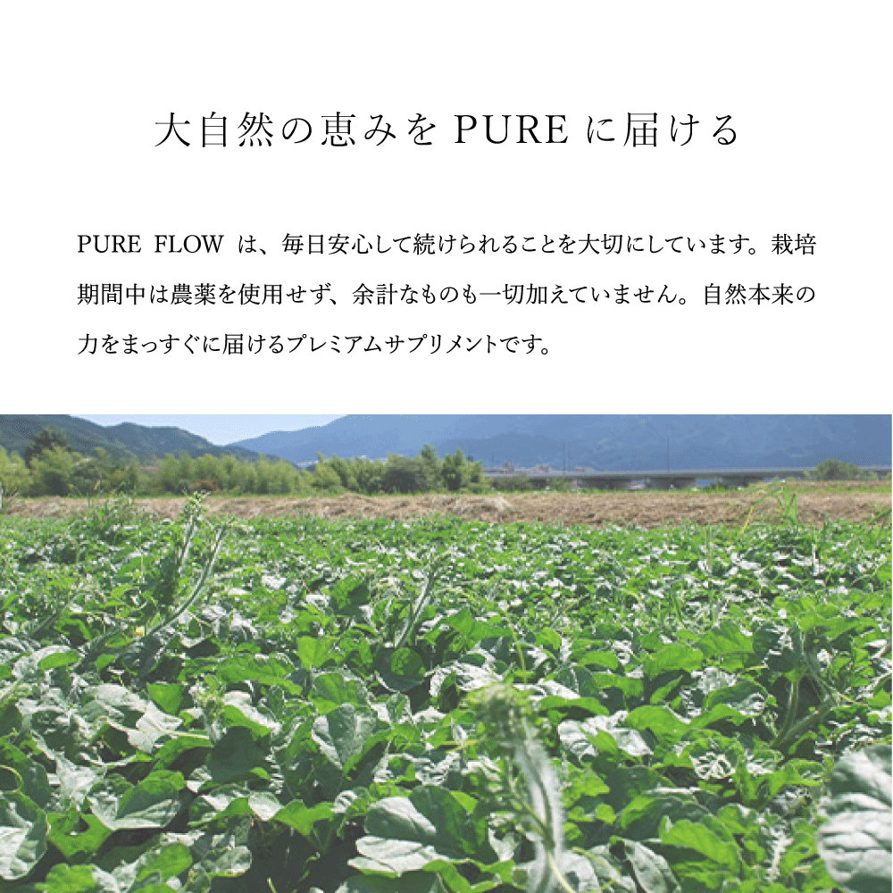 添加物不使用 農薬不使用 植物サプリメント