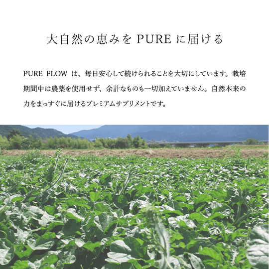 添加物不使用 農薬不使用 植物サプリメント