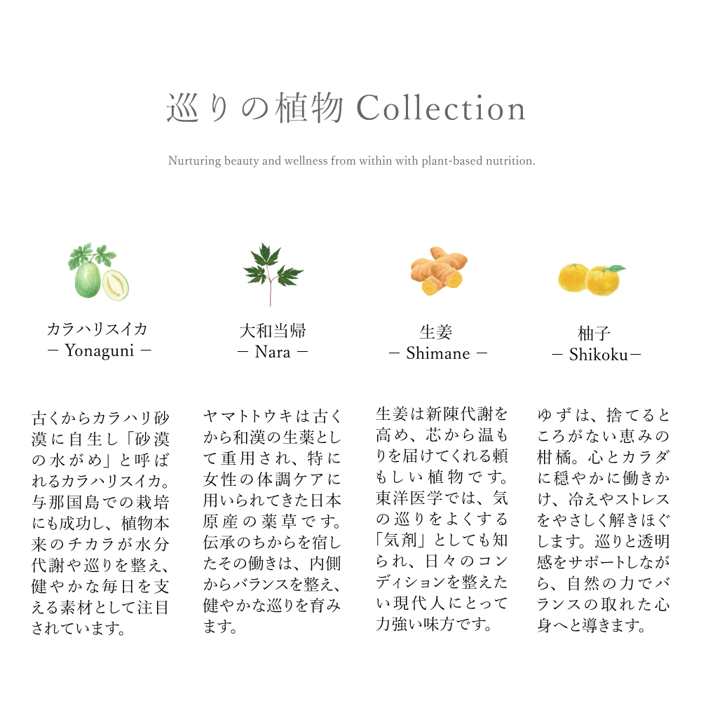 カラハリスイカ 大和当帰 生姜 柚子 植物サプリメント