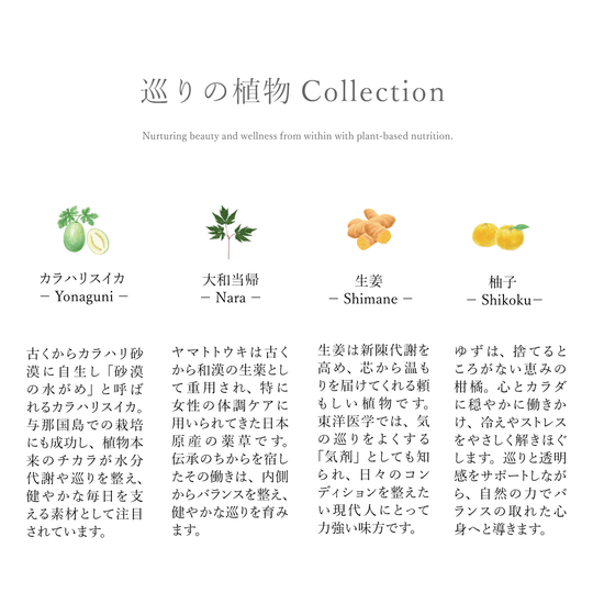 カラハリスイカ 大和当帰 生姜 柚子 植物サプリメント