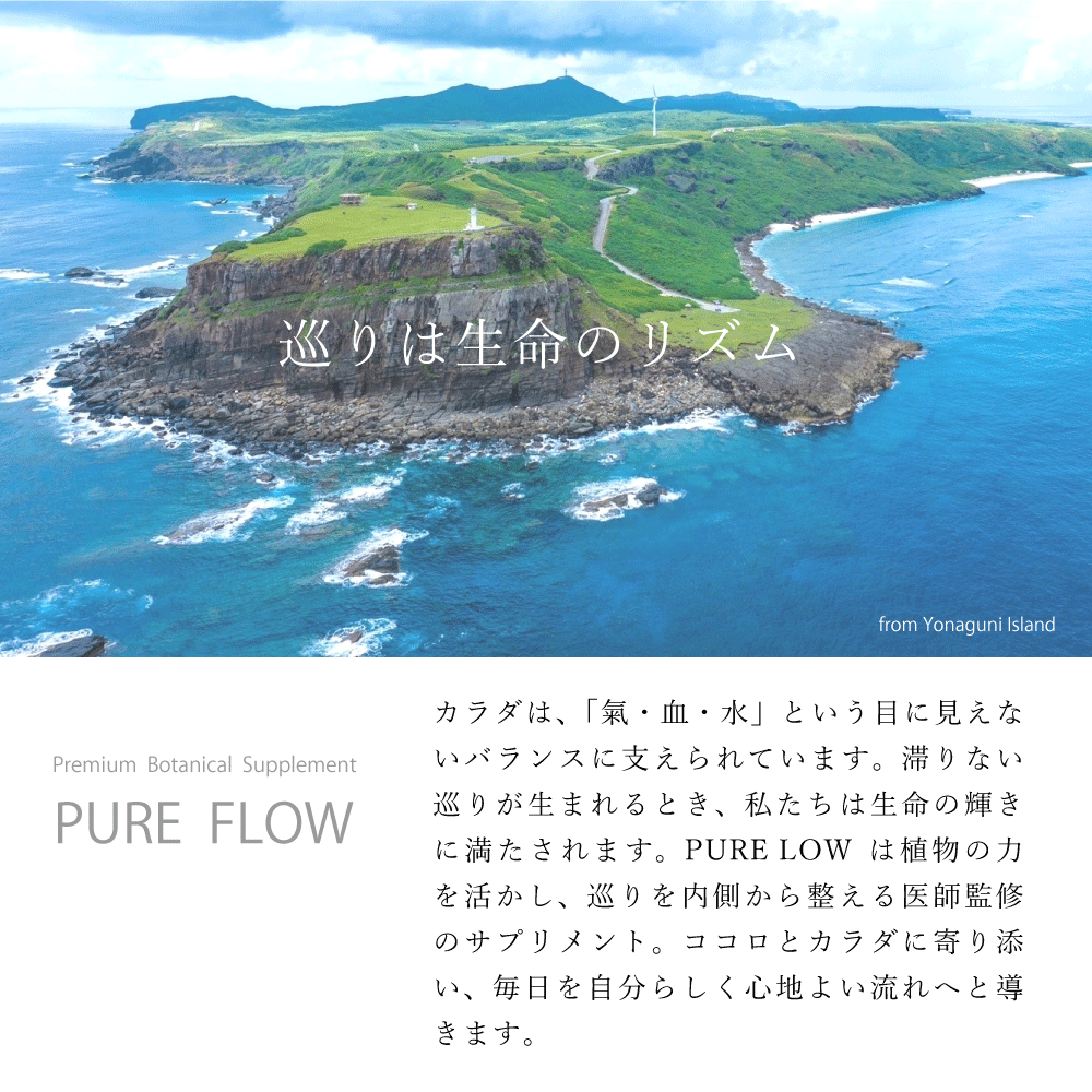 PURE FLOW ピュアフロー  巡り │ カラハリスイカ・大和当帰・生姜・柚子 │ 植物サプリメント