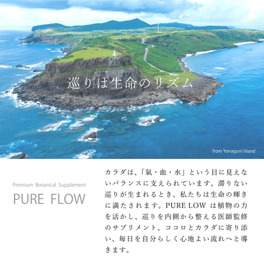 PURE FLOW ピュアフロー  巡り │ カラハリスイカ・大和当帰・生姜・柚子 │ 植物サプリメント