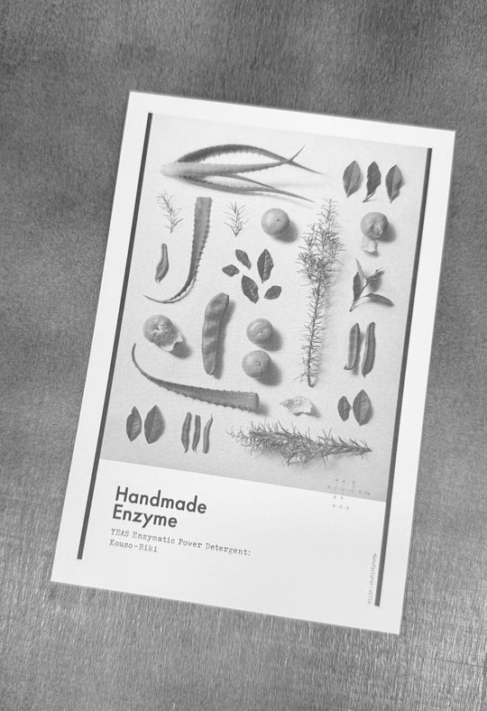 酵素石鹼  ｜ VETTA