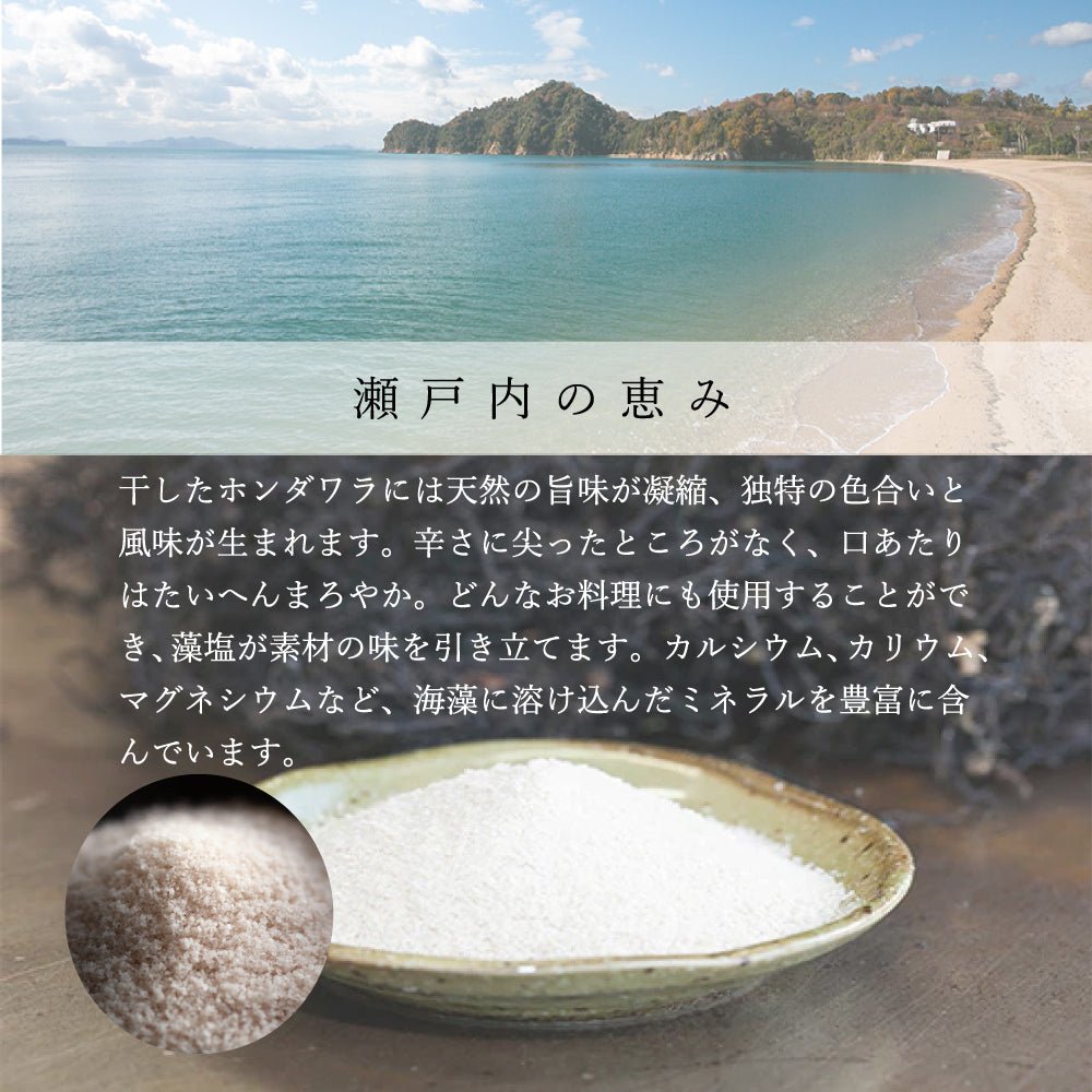 海人の藻塩　スタンドパック 100g ホンダワラ - 株式会社ロゴスコーポレーション