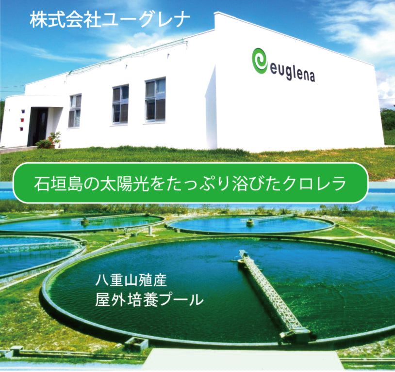 八重山殖産 ユーグレナ
