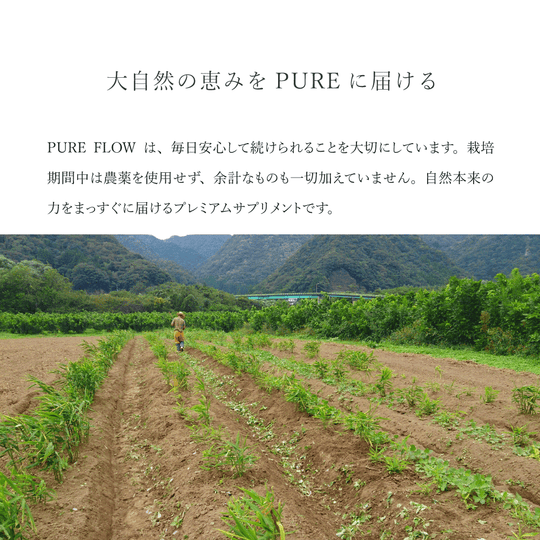 PURE FLOW ピュアフロー  巡り │ カラハリスイカ・大和当帰・生姜・柚子 │ 植物サプリメント