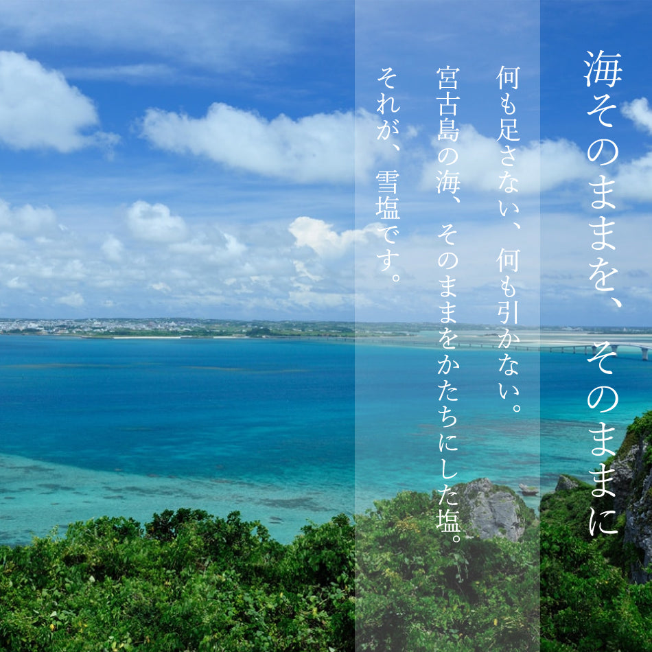 雪塩 (ゆきしお) 宮古島